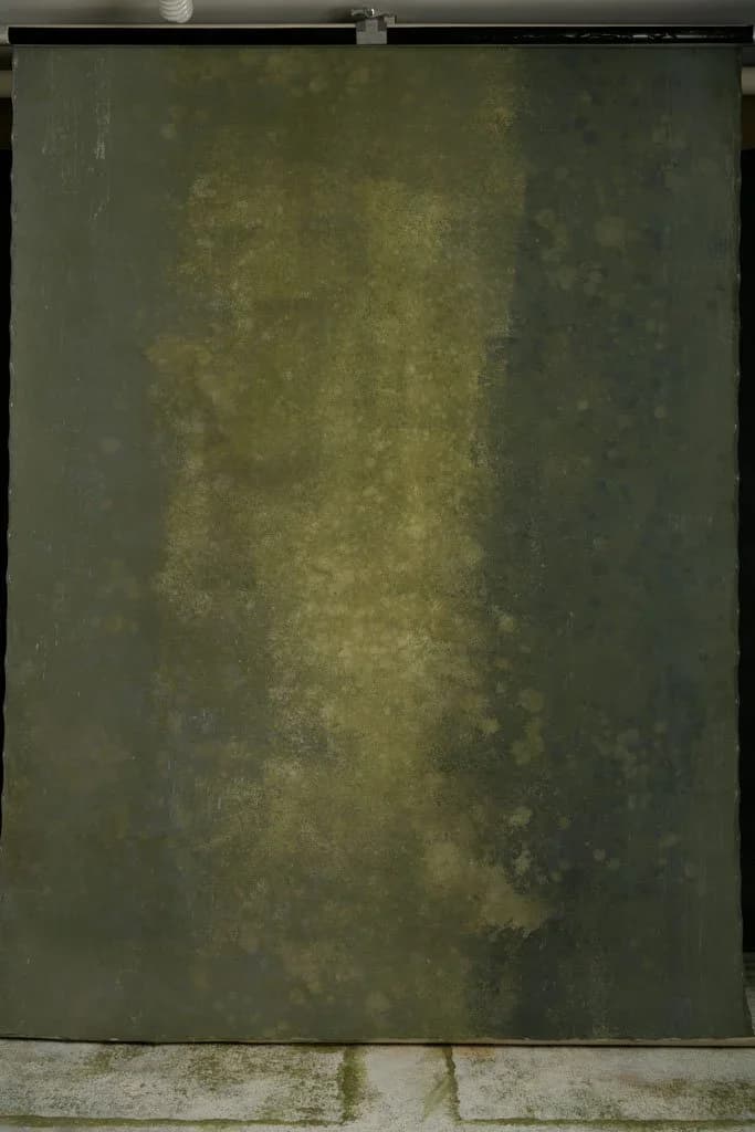 Back in stock! Grey hand-painted backdrop with a olive and white green shade 180X270cm 01070825